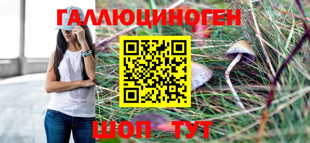 Псилоцибиновые грибы мухоморы  Псилоцибиновые грибы ЛСД  Вход с VPN  Зима 